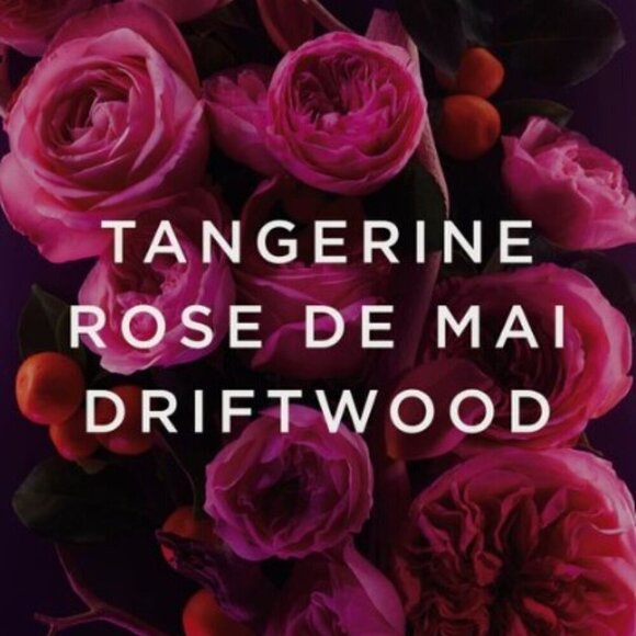 Haiku Sacred Intense - Picture 3 of 4